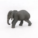 Jeune éléphant d'Afrique PAPO 50169