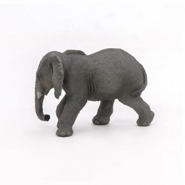 Jeune éléphant d'Afrique PAPO 50169