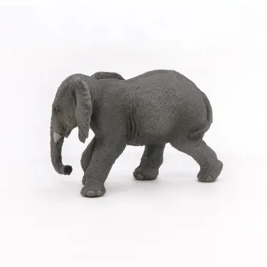 Jeune éléphant d'Afrique PAPO 50169