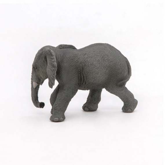 Jeune éléphant d'Afrique PAPO 50169