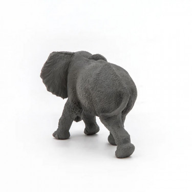 Jeune éléphant d'Afrique PAPO 50169