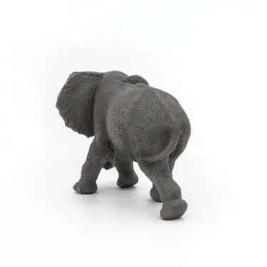 Jeune éléphant d'Afrique PAPO 50169