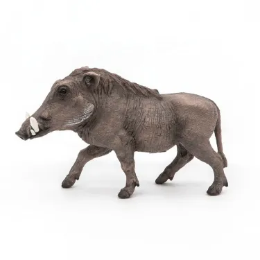 Phacochère, figurine PAPO 50180