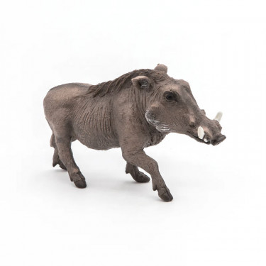 Phacochère, figurine PAPO 50180