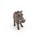 Phacochère, figurine PAPO 50180
