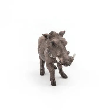 Phacochère, figurine PAPO 50180