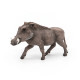 Phacochère, figurine PAPO 50180
