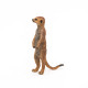 Suricate debout, figurine PAPO 50206