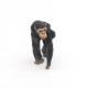 Chimpanzé et son bébé, figurine PAPO 50194