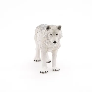Loup polaire PAPO 50195
