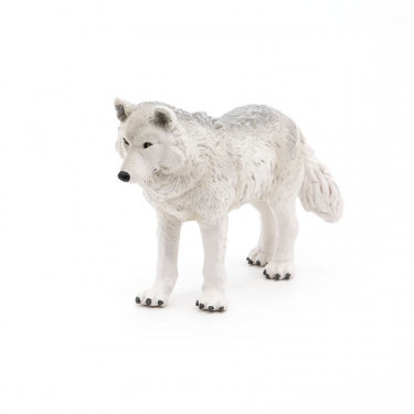 Loup polaire PAPO 50195