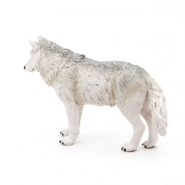 Loup polaire PAPO 50195