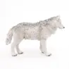 Loup polaire PAPO 50195