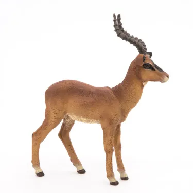 Impala PAPO 50186