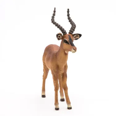 Impala PAPO 50186