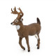 figurine Cerf de Virginie PAPO 53021