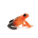Grenouille équatoriale rouge, figurine PAPO 50193