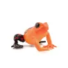 Grenouille équatoriale rouge, figurine PAPO 50193