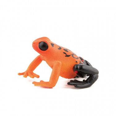Grenouille équatoriale rouge, figurine PAPO 50193