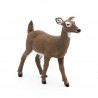Biche de Virginie, figurine PAPO 50218