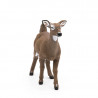 Biche de Virginie, figurine PAPO 50218