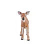 Faon de Virginie, figurine PAPO 50219