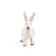 Lièvre polaire, figurine PAPO 50226