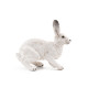 Lièvre polaire, figurine PAPO 50226
