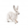 Lièvre polaire, figurine PAPO 50226