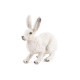 Lièvre polaire, figurine PAPO 50226