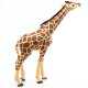Girafe figurine PAPO 50236