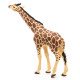 Girafe figurine PAPO 50236