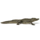 Alligator, figurine PAPO 50254