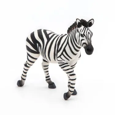 Zèbre mâle PAPO 50249