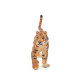 Tigre courant, figurine PAPO 50321