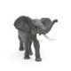 Eléphant, figurine PAPO 50215