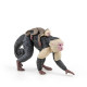 Singe capucin, figurine PAPO 50312