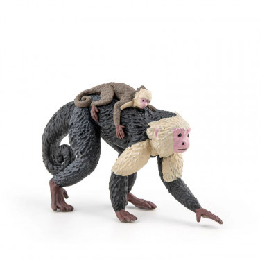 Singe capucin, figurine PAPO 50312