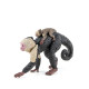 Singe capucin, figurine PAPO 50312
