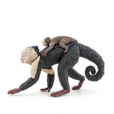 Singe capucin, figurine PAPO 50312