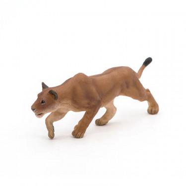 Lionne chassant PAPO 50251