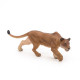 Lionne chassant PAPO 50251