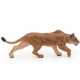 Lionne chassant PAPO 50251