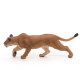 Lionne chassant PAPO 50251