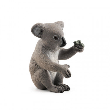 Koala PAPO 50111