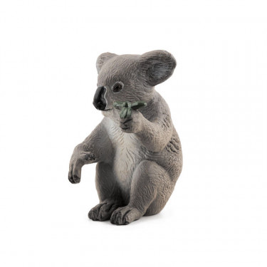 Koala PAPO 50111