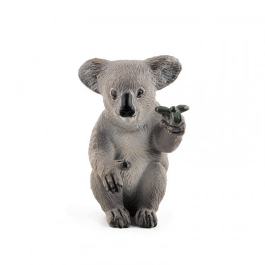 Koala PAPO 50111