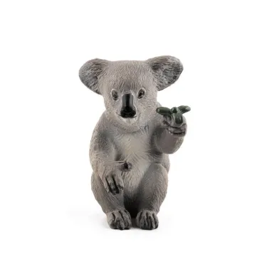Koala PAPO 50111