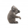 Koala PAPO 50111
