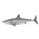 Requin Mako, figurine PAPO 56062